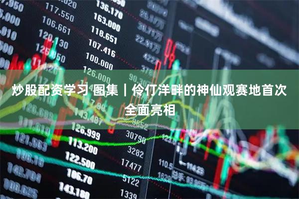 炒股配资学习 图集｜伶仃洋畔的神仙观赛地首次全面亮相